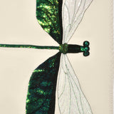 Dragonfly in Cashmere