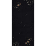 Cosmos in Cashmere